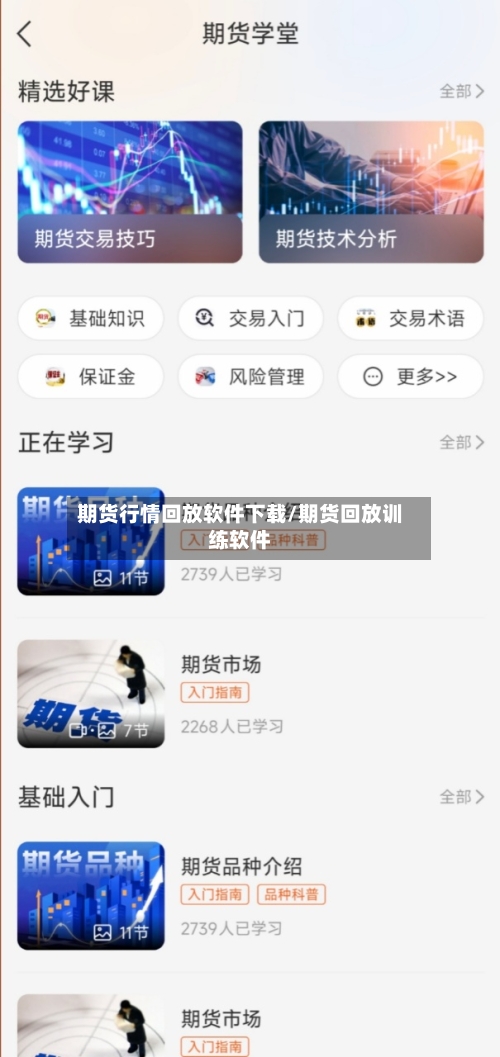 期货行情回放软件下载/期货回放训练软件