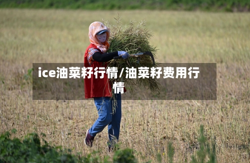 ice油菜籽行情/油菜籽费用行情-第2张图片