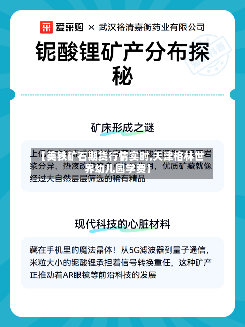 【美铁矿石期货行情实时,天津格林世界幼儿园学费】