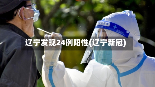 辽宁发现24例阳性(辽宁新冠)