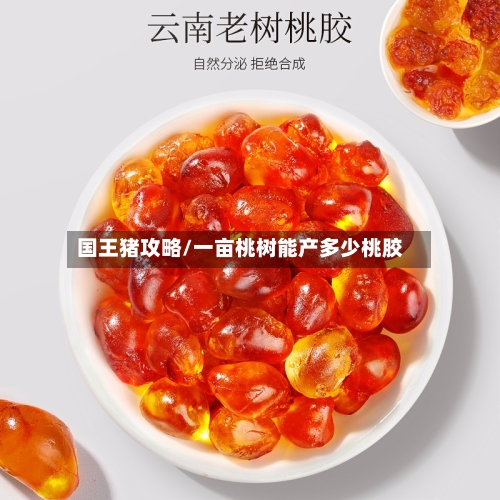 国王猪攻略/一亩桃树能产多少桃胶