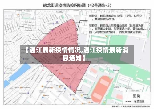 【湛江最新疫情情况,湛江疫情最新消息通知】-第3张图片