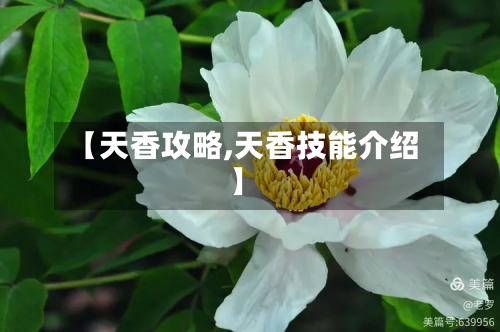 【天香攻略,天香技能介绍】-第3张图片