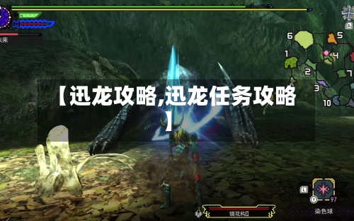 【迅龙攻略,迅龙任务攻略】