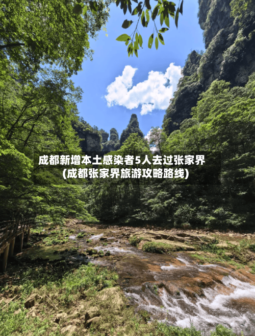 成都新增本土感染者5人去过张家界(成都张家界旅游攻略路线)-第2张图片