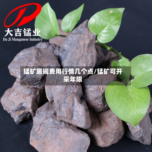 锰矿居间费用行情几个点/锰矿可开采年限