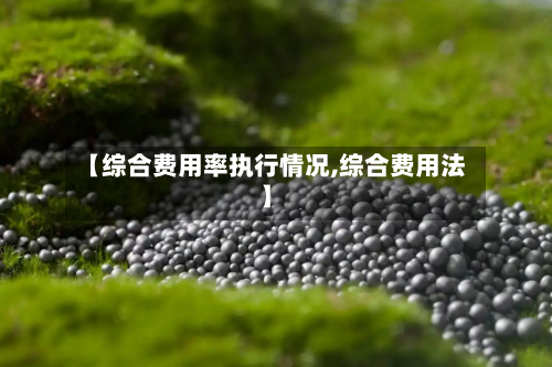 【综合费用率执行情况,综合费用法】