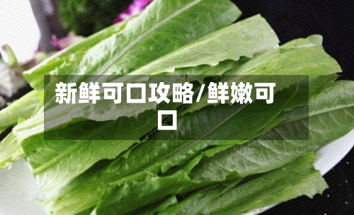 新鲜可口攻略/鲜嫩可口
