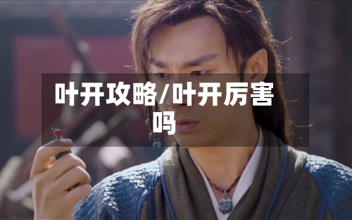 叶开攻略/叶开厉害吗-第3张图片