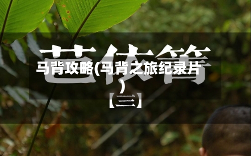马背攻略(马背之旅纪录片)-第2张图片
