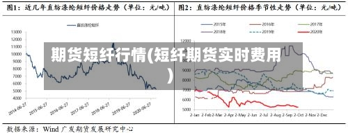 期货短纤行情(短纤期货实时费用)