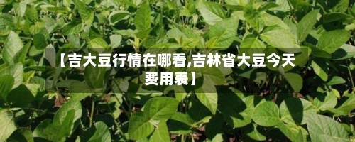 【吉大豆行情在哪看,吉林省大豆今天费用表】