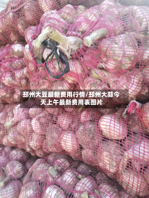 邳州大豆最新费用行情/邳州大蒜今天上午最新费用表图片