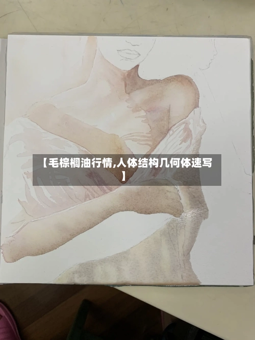 【毛棕榈油行情,人体结构几何体速写】