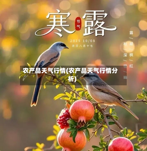 农产品天气行情(农产品天气行情分析)