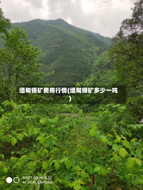 缅甸锡矿费用行情(缅甸锡矿多少一吨)-第3张图片