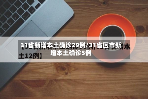 31省新增本土确诊29例/31省区市新增本土确诊5例