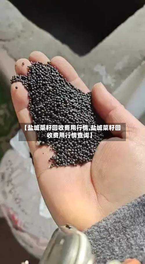 【盐城菜籽回收费用行情,盐城菜籽回收费用行情查询】-第2张图片