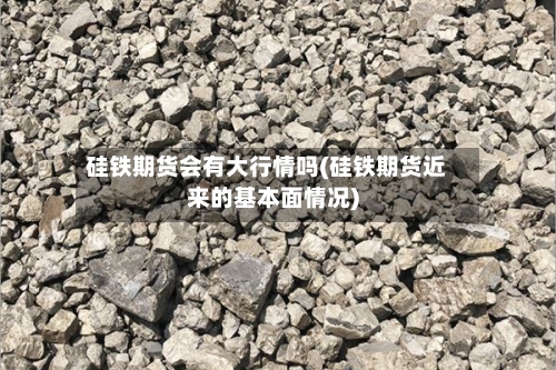 硅铁期货会有大行情吗(硅铁期货近来的基本面情况)-第3张图片
