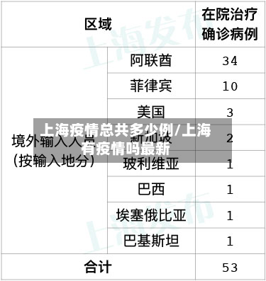 上海疫情总共多少例/上海有疫情吗最新-第2张图片