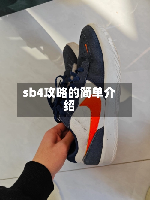 sb4攻略的简单介绍