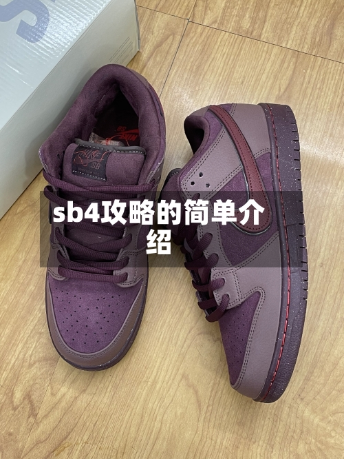 sb4攻略的简单介绍-第3张图片