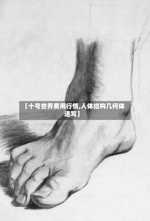 【十号世界费用行情,人体结构几何体速写】-第3张图片