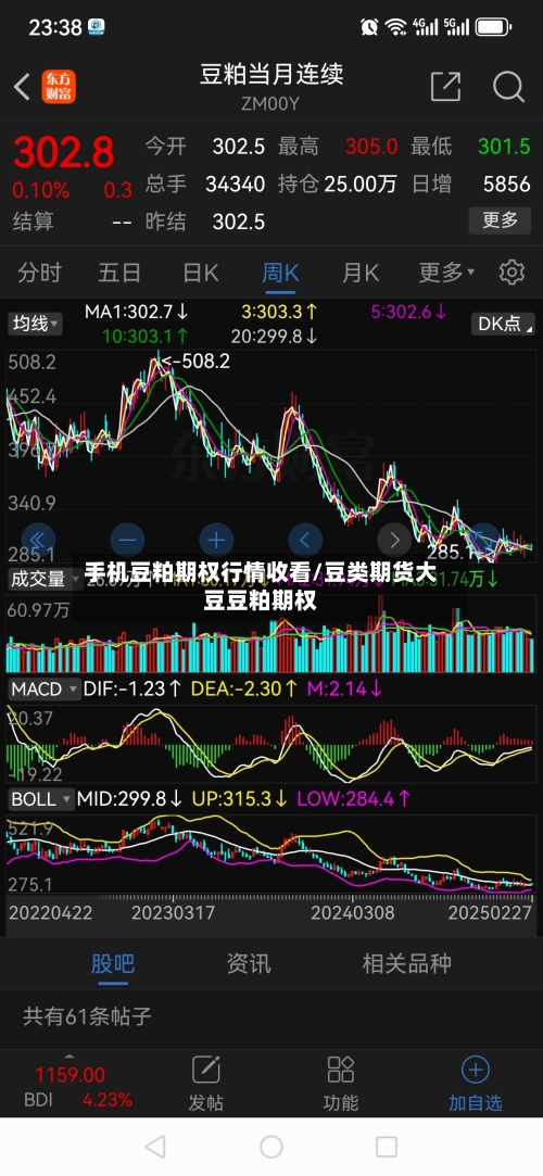 手机豆粕期权行情收看/豆类期货大豆豆粕期权