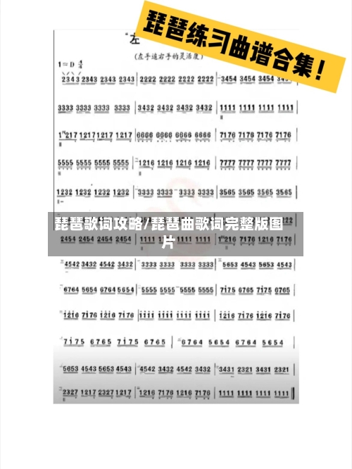 琵琶歌词攻略/琵琶曲歌词完整版图片