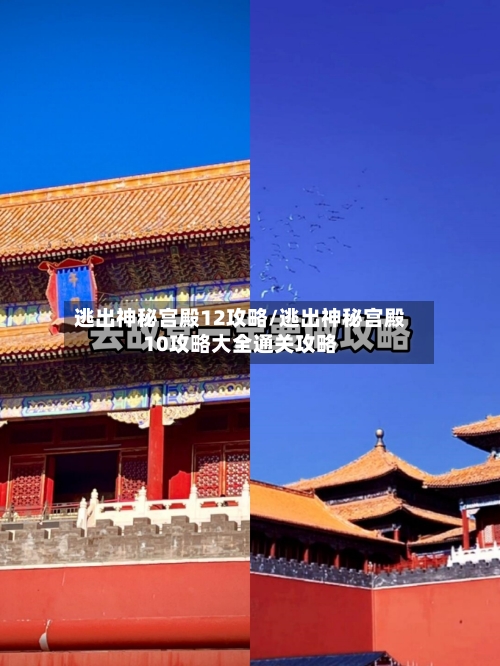 逃出神秘宫殿12攻略/逃出神秘宫殿10攻略大全通关攻略