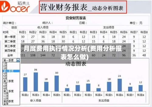 月度费用执行情况分析(费用分析报表怎么做)