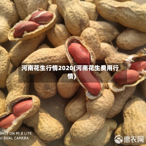 河南花生行情2020(河南花生费用行情)