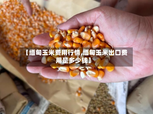 【缅甸玉米费用行情,缅甸玉米出口费用是多少钱】