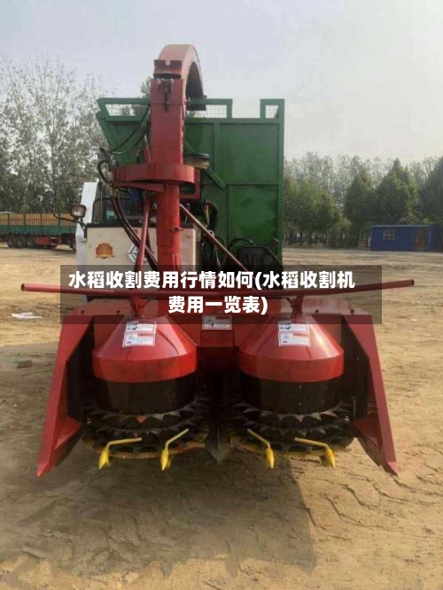 水稻收割费用行情如何(水稻收割机费用一览表)-第3张图片