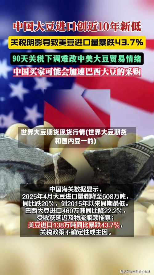 世界大豆期货现货行情(世界大豆期货和国内豆一的)