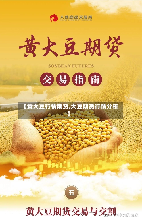 【黄大豆行情期货,大豆期货行情分析】-第3张图片