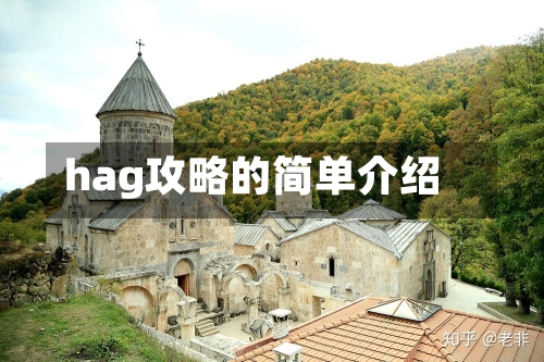 hag攻略的简单介绍-第2张图片