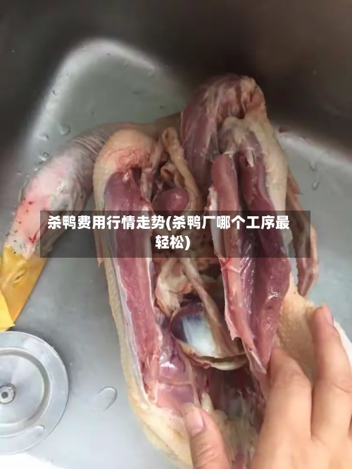 杀鸭费用行情走势(杀鸭厂哪个工序最轻松)-第2张图片