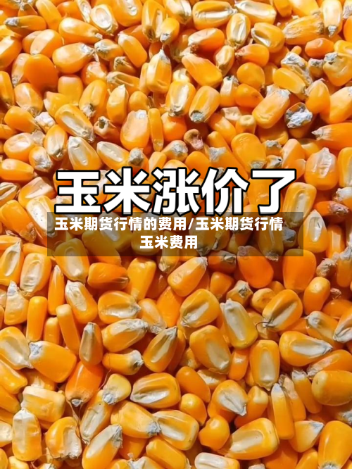 玉米期货行情的费用/玉米期货行情玉米费用-第2张图片