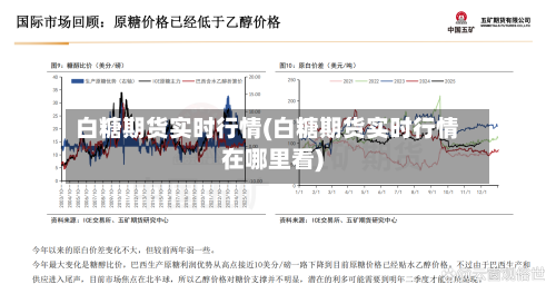 白糖期货实时行情(白糖期货实时行情在哪里看)