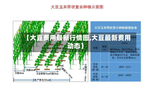 【大豆费用最新行情图,大豆最新费用动态】