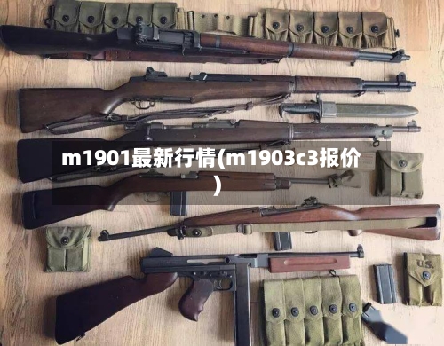 m1901最新行情(m1903c3报价)