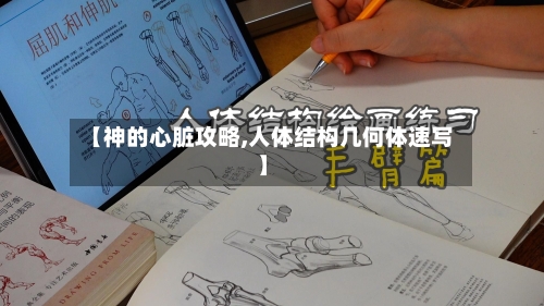 【神的心脏攻略,人体结构几何体速写】-第2张图片