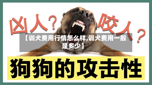 【训犬费用行情怎么样,训犬费用一般是多少】