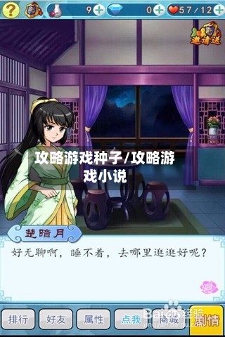 攻略游戏种子/攻略游戏小说