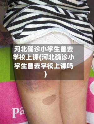 河北确诊小学生曾去学校上课(河北确诊小学生曾去学校上课吗)-第2张图片