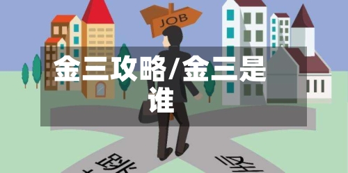 金三攻略/金三是谁