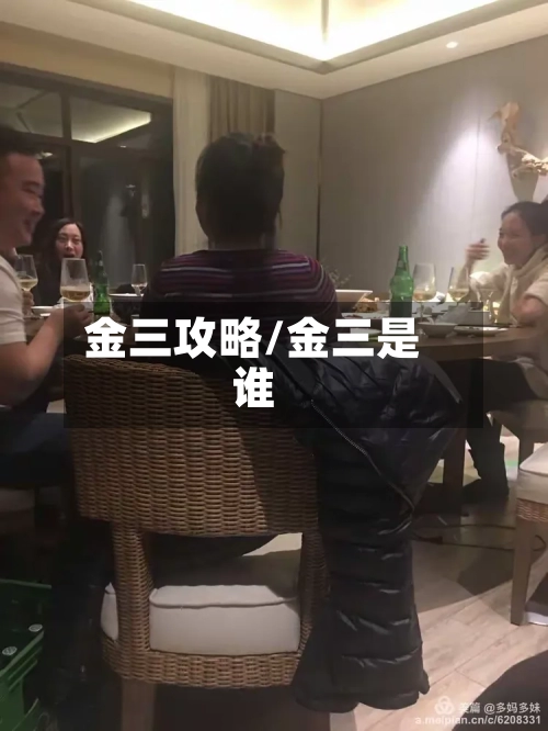 金三攻略/金三是谁-第2张图片