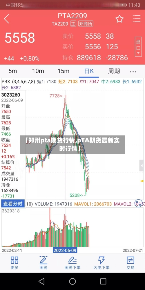 【郑卅pta期货行情,pTA期货最新实时行情】
