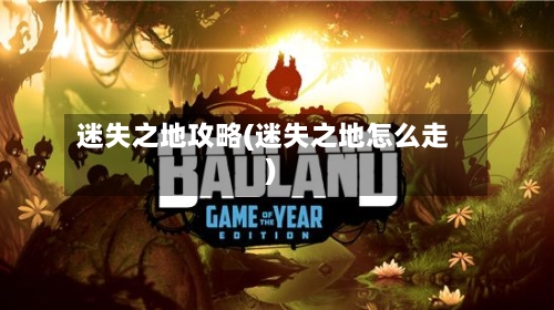 迷失之地攻略(迷失之地怎么走)